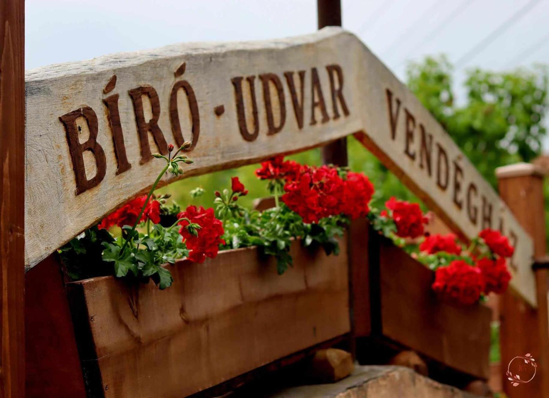 Biro-udvar Vendeghaz *